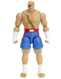 sagat